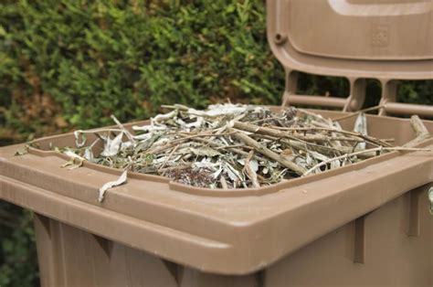 sheffield city council bin collection|waste collection sheffield city council.